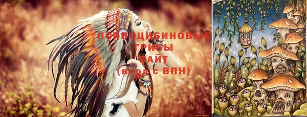 бутират Баксан