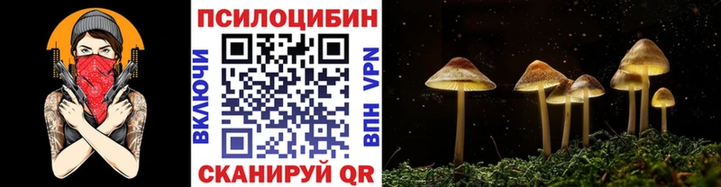 Псилоцибиновые грибы мухоморы  сколько стоит  Гуково 