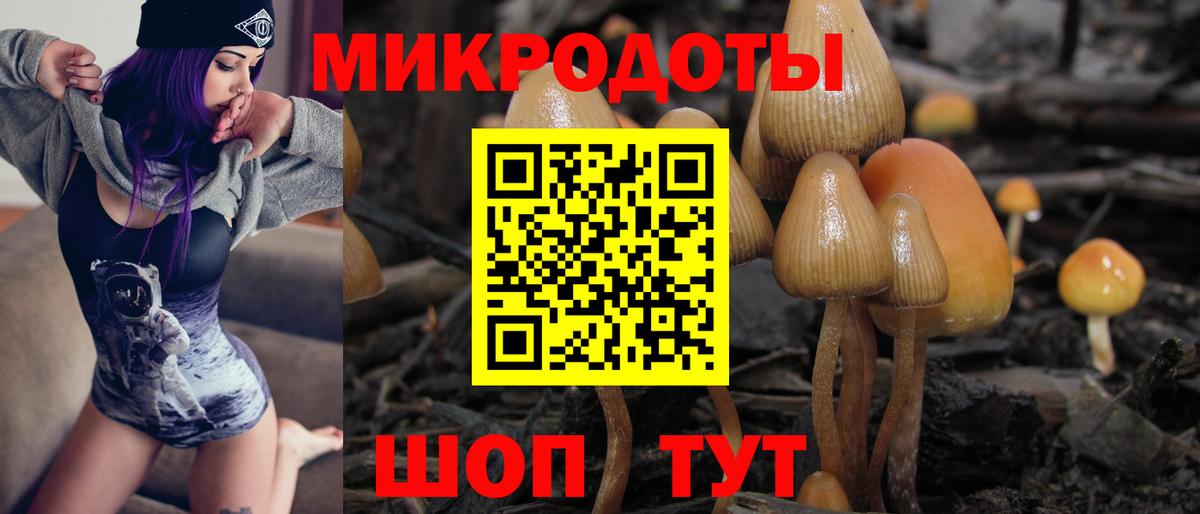 купить  цена  Псилоцибиновые грибы Magic Shrooms  Галлюциногенные грибы мицелий  Вход с VPN  Гуково 